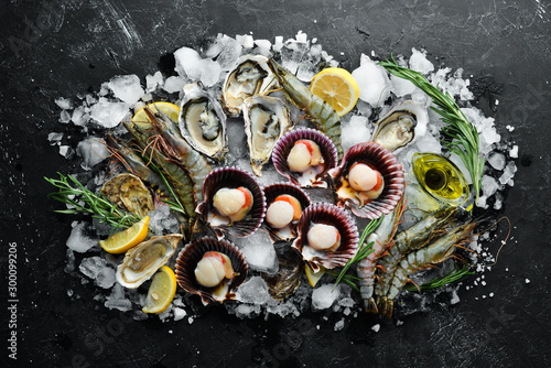 Seafood. Oysters, scallops, shrimp. Top view. On a black background. Free copy space.