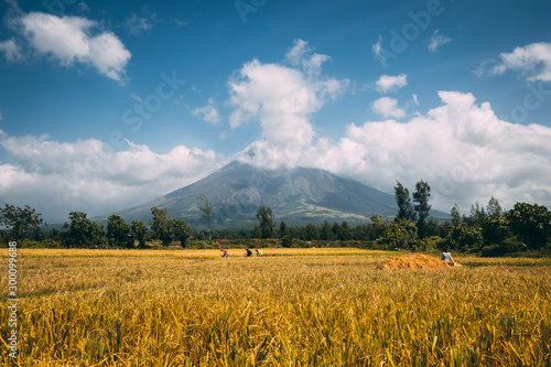 Εκτύπωση καμβά Great Mayon Volcano on Luzon Island Philippines