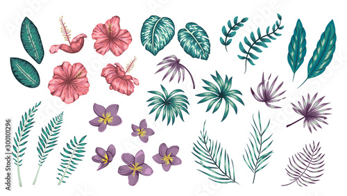 Vector set of tropical flowers and leaves isolated on white background. Bright realistic collection of exotic design elements. .