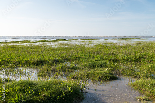 A beach in Normandy  France