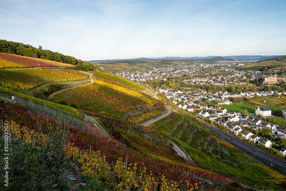 Indian summer on the red wine trail in the Ahr valley