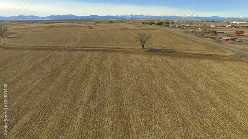 Bare trees on field by road and buildings in village against sky - Thornton, Colorado photo