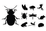 Collection vectors of insect and small animal on white background. Symbol of beetle, butterfly, flea, frog, dragonfly, mouse, hedgehog, tick, forest, meadow, logo, sign.