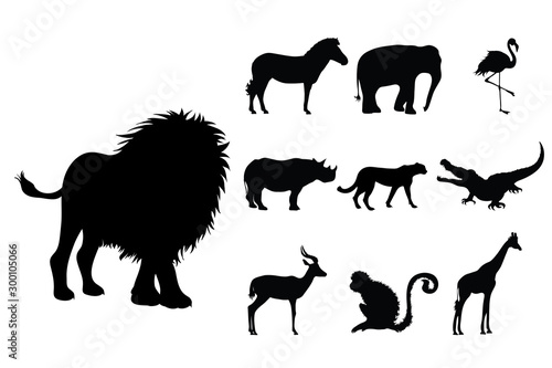 Collection vectors of wild animal on white background. Symbol of lion  elephant  rhinoceros  zoo  Africa  monkey  cheetah  logo  sign.