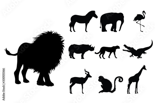 Collection vectors of wild animal on white background. Symbol of lion, elephant, rhinoceros, zoo, Africa, monkey, cheetah, logo, sign.