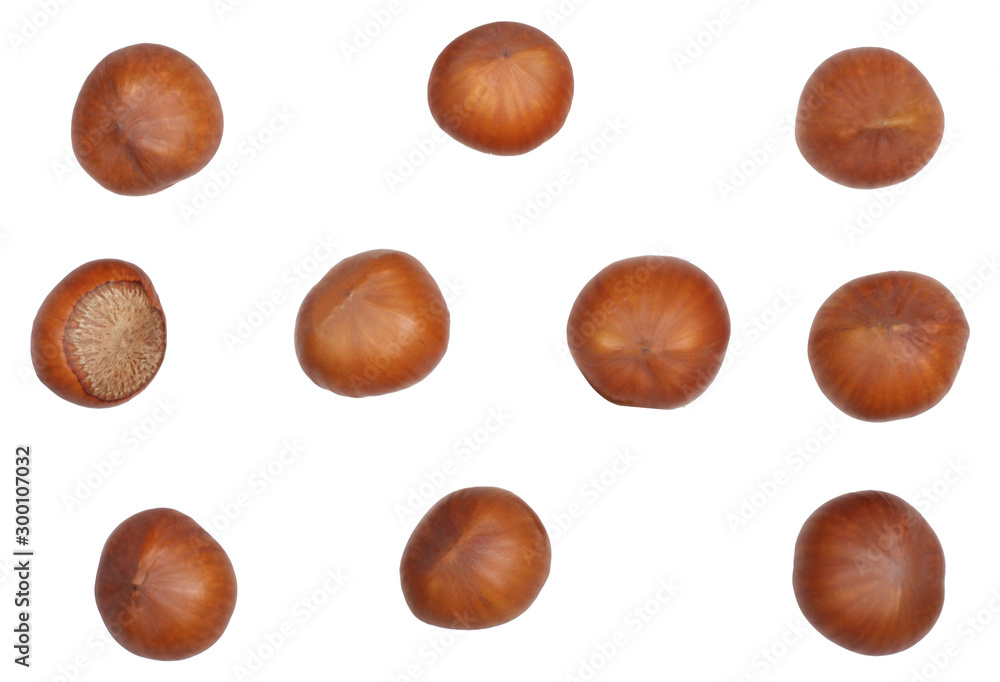 Hazelnuts isolated on white background, top view Hazelnuts isolated on white background, top view
