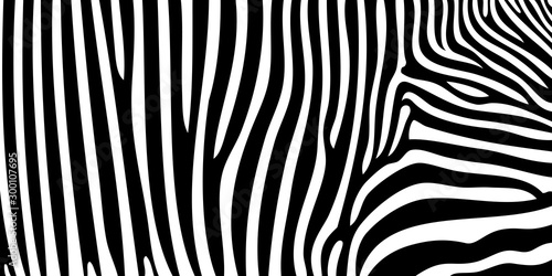 zebra pattern texture tiger...