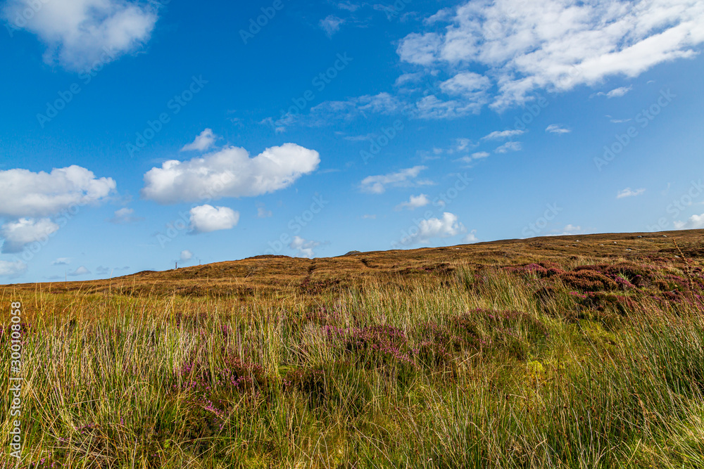 Autumnal colours in the countryside, on the Hebridean island of North Uist