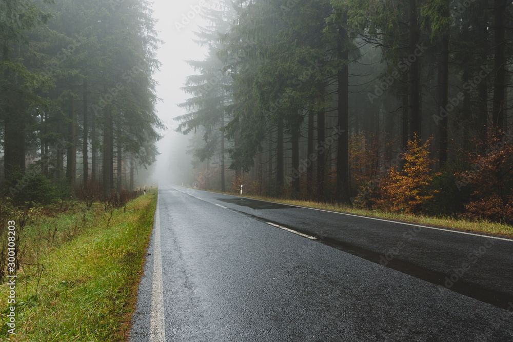 Fototapeta premium Neblige strasse auf dem vogelsberg