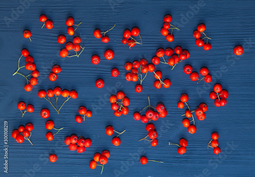 Red Rowan berries are scattered on the dark wooden background