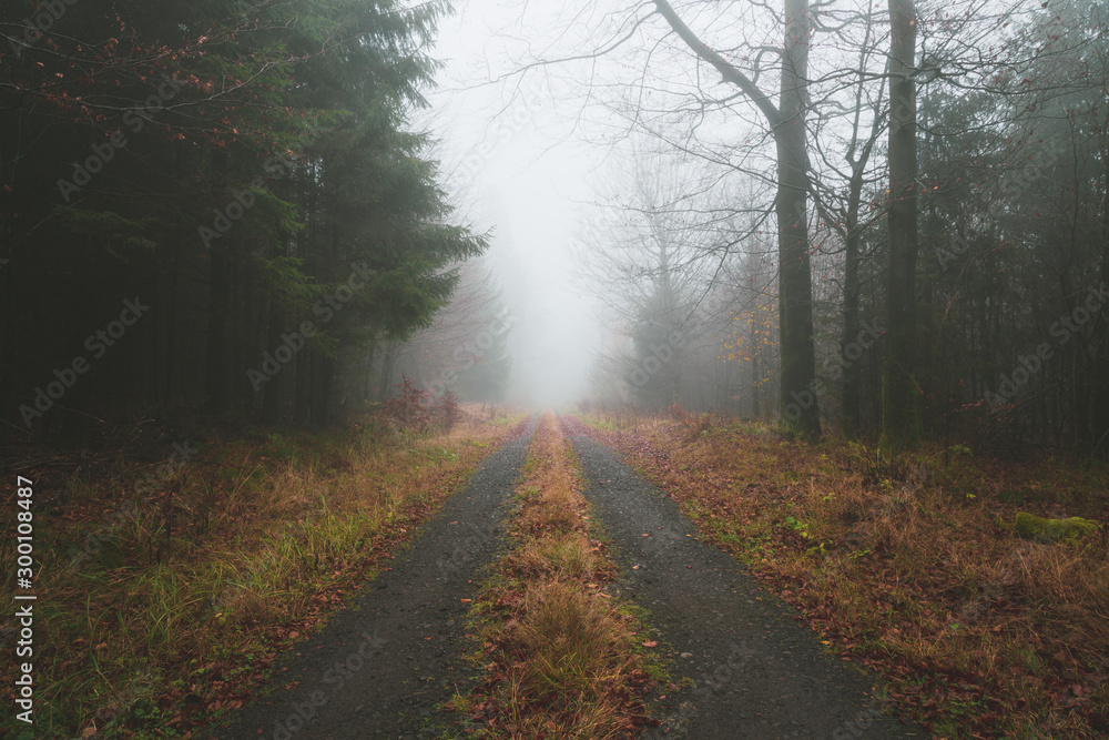 feldweg bei dichtem nebel