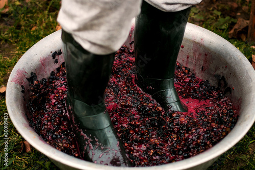 Photos Men crushing or press ripe grapes by fit in boots