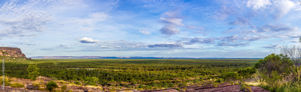 panorama from the Nadab Lookout in ubirr, kakadu national park - australia