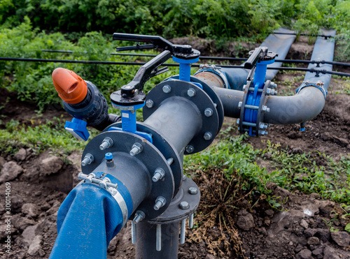 Wallpaper Mural Drip irrigation system. Water saving drip irrigation system being used in a young carrot field. Torontodigital.ca