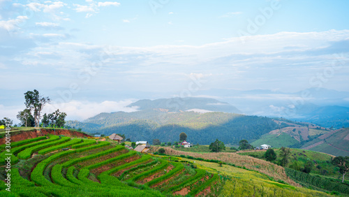 Aerial view morning scene of Pa Bong Piang paddy terraced rice fields with farm huts, Mae Chaem, Chiang Mai Thailand