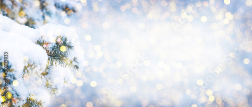 Winter fir tree christmas scene with sunlight. © preto_perola