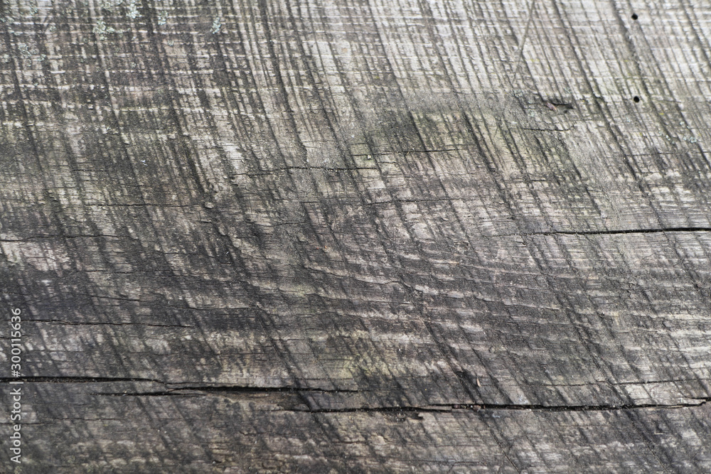 Fototapeta premium texture of natural aged wood