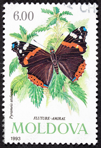 GROOTEBROEK ,THE NETHERLANDS - MARCH 15,2016 :  A stamp printed in Moldovia shows image of butterfly ,1993. photo