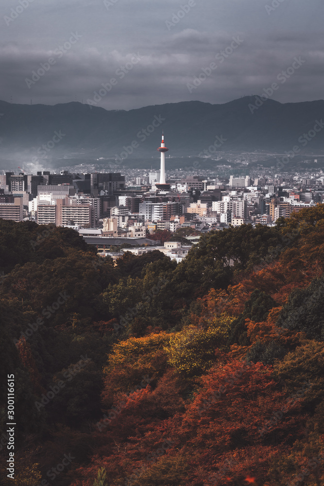 Naklejka premium Kyoto city in autumn