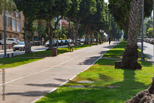a shared bike and walking path in the center of Ben Zion Avenue in central tel aviv in israel showing the beautiful shady tree lined street