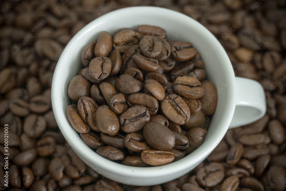 geröstete braune Kaffeebohnen in einer kleinen weißen Tasse auf Bohnen Hintergrund geröstete braune Kaffeebohnen in einer kleinen weißen Tasse auf Bohnen Hintergrund