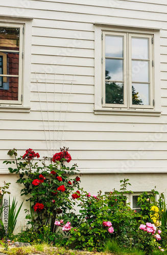 Pretty Norwegian cottage with flowers on Ovre Strandgate in the old part of Stavanger known as Gamle Stavanger © Nikolai Korzhov