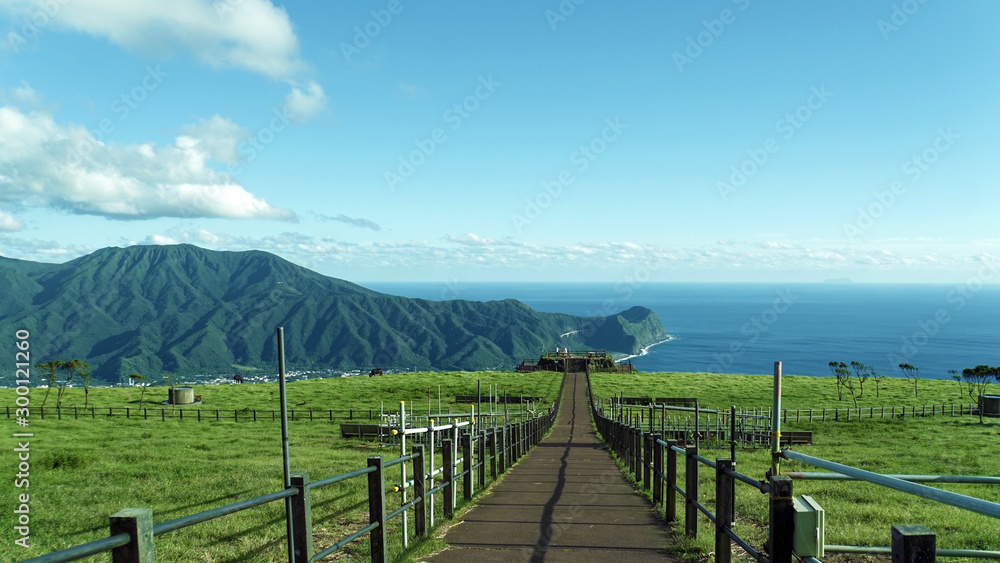 八丈島ふれあい牧場からの雄大な太平洋の眺め