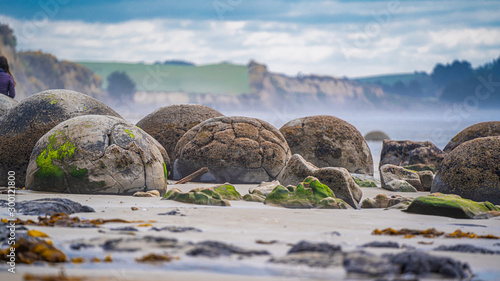 Canvastavla Moeraki Boulders On Otago coast Of New Zealand