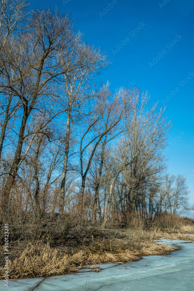 Sunny meadow in autumn. Frozen lake and poplar trees Sunny meadow in autumn. Frozen lake and poplar trees