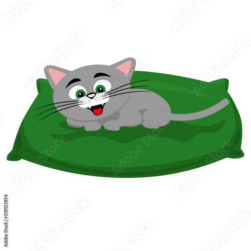 Cat on the pillow. Vector illustration of a pet.