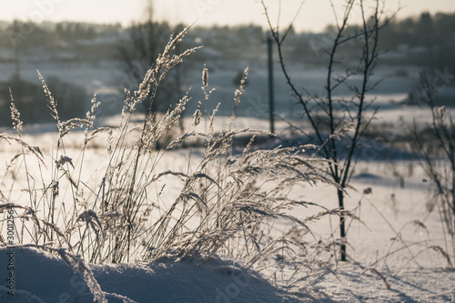 Winter landscape. Grass covered with frost and snow drifts close-up. Beautiful view of the winter nature. © Repli-Kate