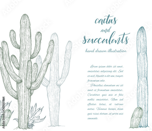 Floral background. Hand drawn vector botanical illustration. Template greeting card, wedding invitation banner with spring flowers. Sketch linear cactus ans succulents . Engraved style illustration.