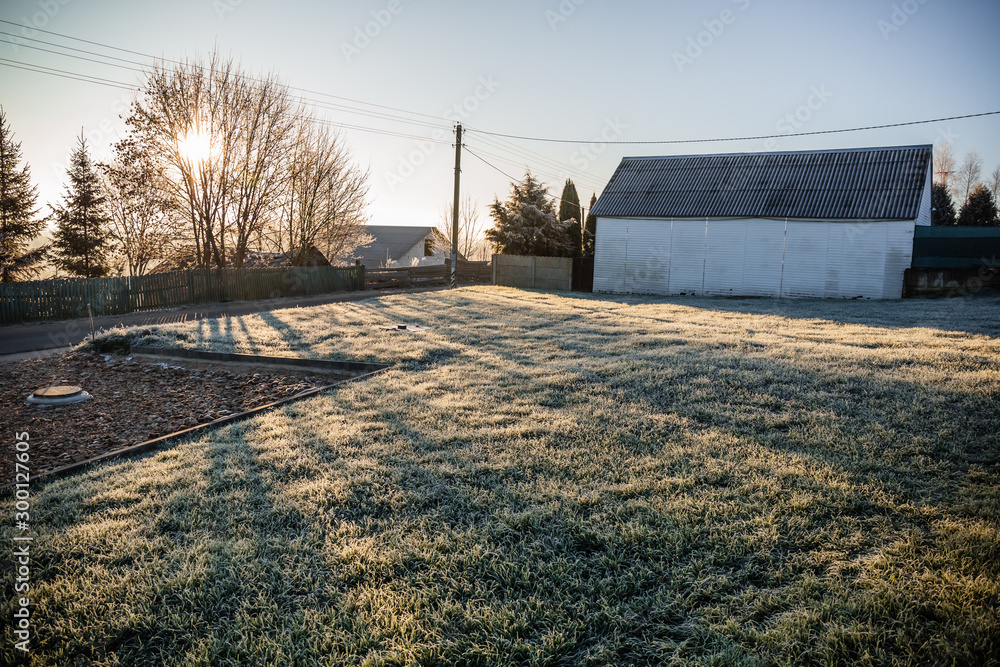 A plot of land with a lawn for the construction of a house or territory for grazing farm animals in frosty sunny morning. May be cut to banner or wallpaper with copy space. - obrazy, fototapety, plakaty 