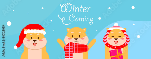 flat design merry christmas shiba inu puppy special winter coming background - Vector