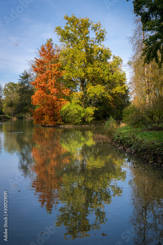 Herbst im Park Schönbusch, Aschaffenburg, Bayern