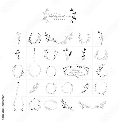 Vector Hand Drawn Doodle Floral Frames and Wreaths Collection, with Plants, Branches, Laurels, Flowers, Wildflowers. Design Elements Illustration. Logo Branding