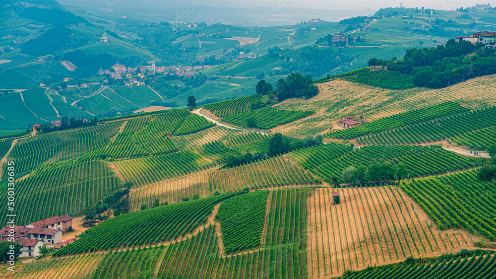 Top angle view on the rolling hills with green vineyards in Piedmont, Italy
