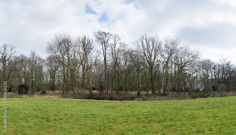Grassland with bare trees panorama in Boxtel The Netherlands Grassland with bare trees panorama in Boxtel The Netherlands