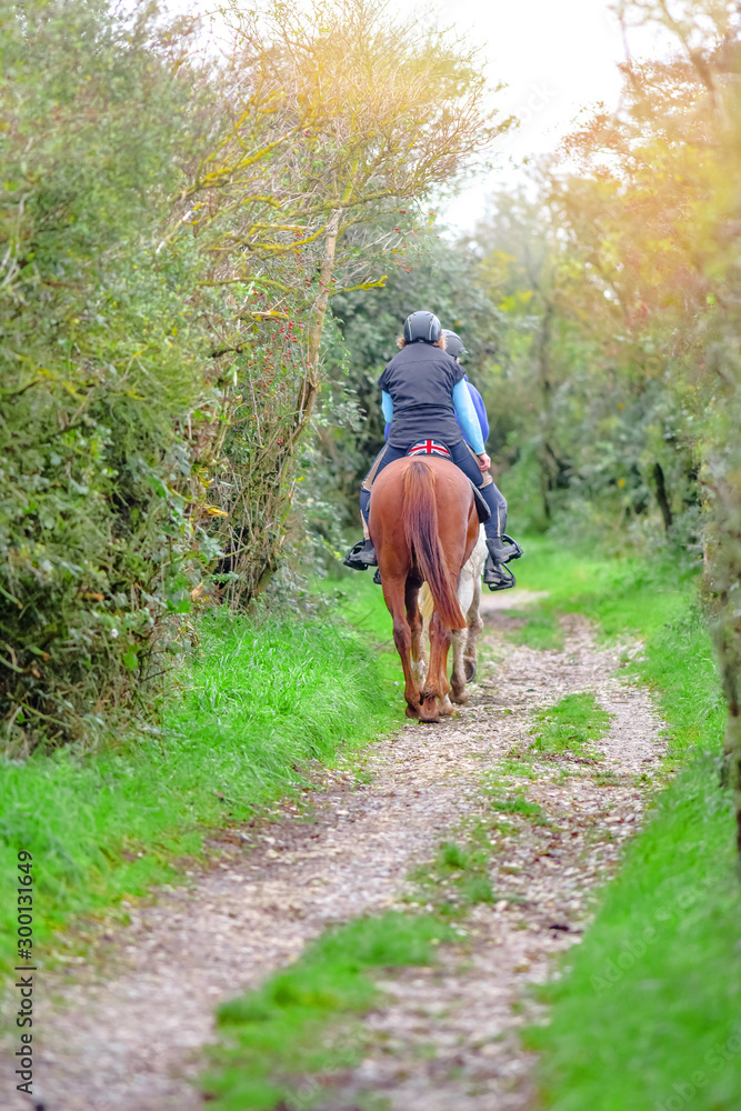 two horse riders walking in the forest in autumn