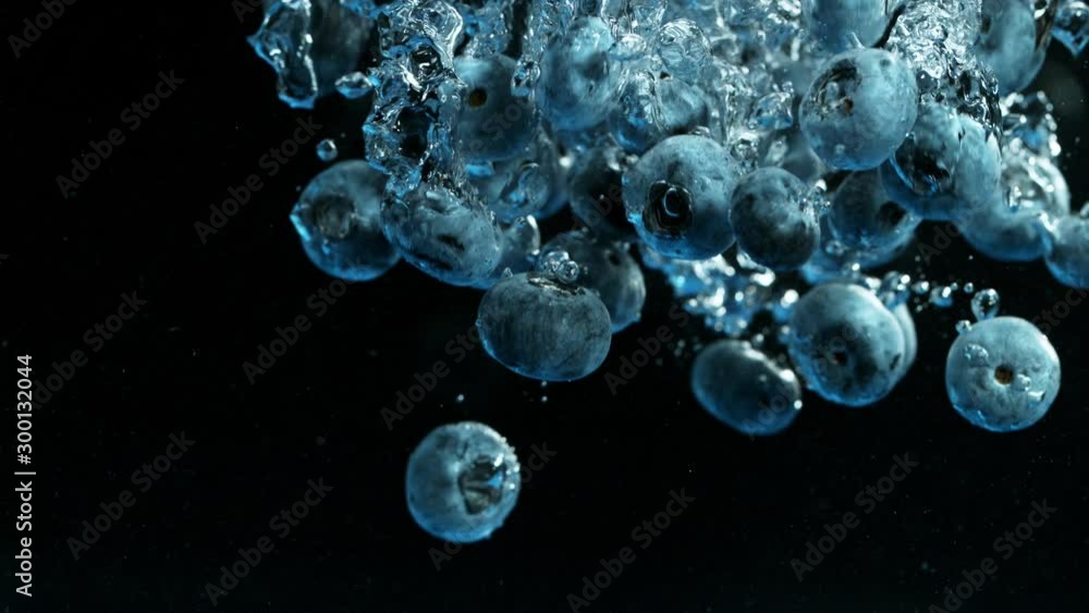 Super Slow Motion Shot of Falling Blueberries Into Water Isolated on Black Background at 1000fps.