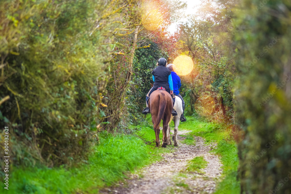 Obraz premium two horse riders walking in the forest in autumn