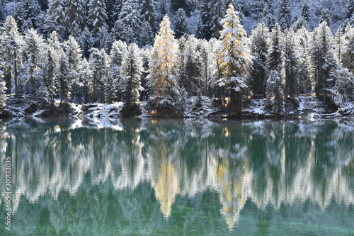 Winter landscape in the swiss alps with lake, forest, pine trees and reflection