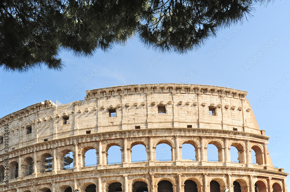 Fototapeta premium Roma, il Colosseo