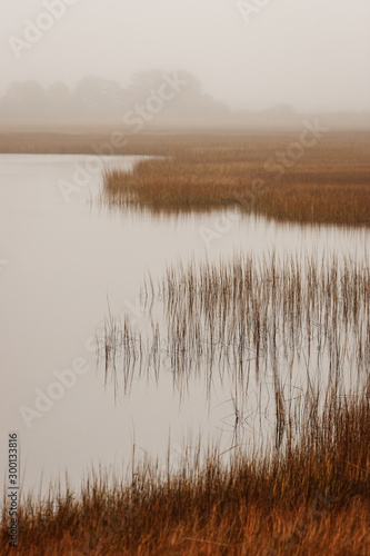 Salt marsh grass and water in autumn
