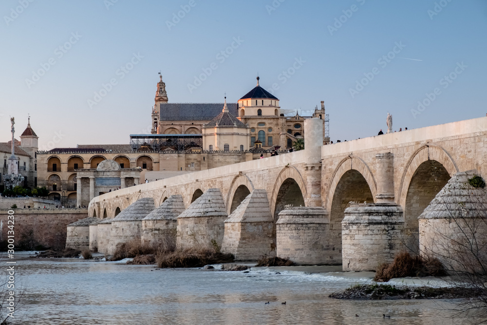 Mezquita and roman bridge of Cordoba
