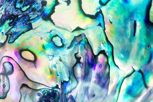 Close up multicolour texture background of paua shell, haliotis iris or Abalone shell photo