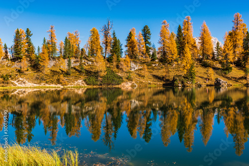 Fototapeta Naklejka Na Ścianę i Meble -  Golden reflections on the Federa lake. Dreamlike Dolomites. Italy