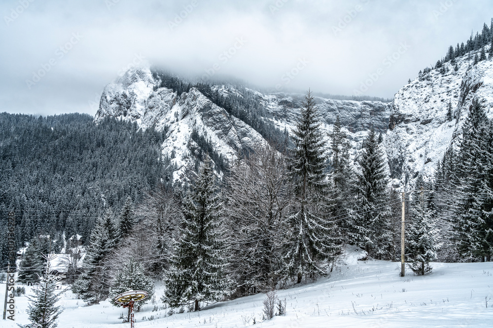 Majestic mountains in winter with white snowy spruces. Wonderful wintry landscape. Amazing view on snowcovered rock mountains. Travel background