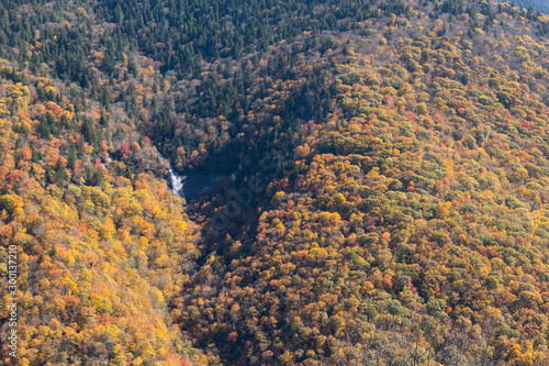 Blue Ridge Parkway near mile marker 361 View Glassmine Falls, located in the Asheville watershed supplying water to the Burnett Reservoir in North Carolina, USA.