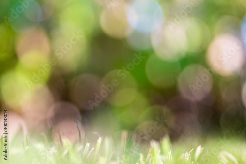 Bokeh background on lawn,natural blur background